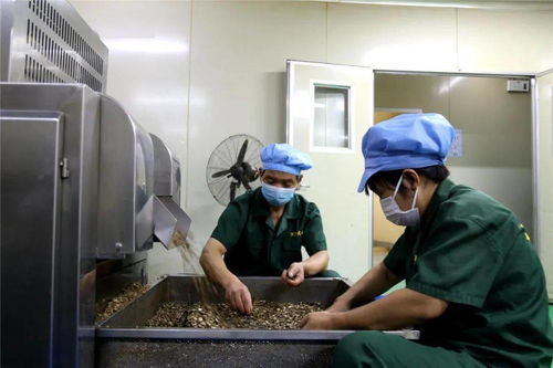 李茂涛深入重点工业企业走访调研，聚焦技术交流与创新发展